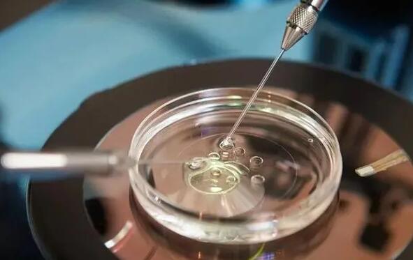 重庆三代试管成功率高吗？有哪些影响因素？