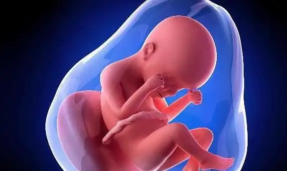 1683710883726968.png 136.png