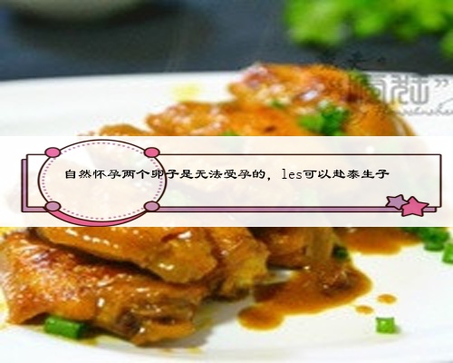 自然怀孕两个卵子是无法受孕的,les可以赴泰生子