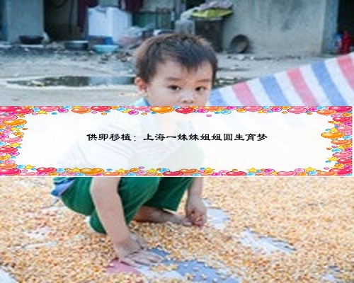 供卵移植：上海一妹妹姐姐圆生育梦