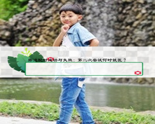 卵泡配对成功与失败：第二次尝试何时就医？