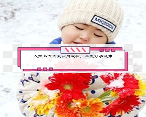 人授第六天无明显症状，未见好孕迹象