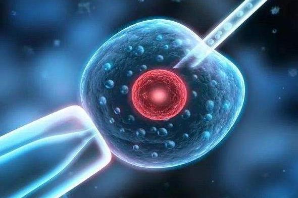 重庆试管费用表 2023重庆新桥医院试管婴儿成功率： ‘孕囊三个数据那样出是男孩’