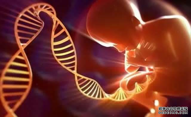 月经过后什么时间最容易怀孕?排卵期精确计算方式