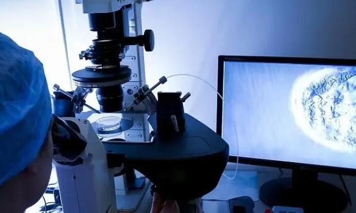 武汉协和医院试管第三代试管费用 武汉最大的供卵助孕机构出炉! ‘听说二胎怀孕女孩有征兆,最明显的特征有哪些’