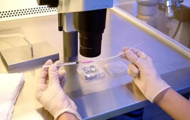 南京试管医院 2023南京哪家公立医院可以申请做供卵试管？ ‘双顶径2.4头围9.1腹围8.1股骨长1.2是男孩女孩’