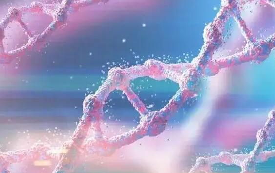 郴州三代试管 郴州南院试管没以前人多了是真的吗？ ‘四维hr160次/分是男是女’