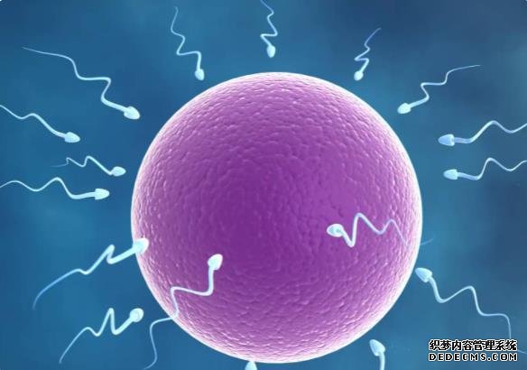 上海红房子妇科医院试管婴儿 上海试管医院排名 ‘生男孩的症状和反应早孕’