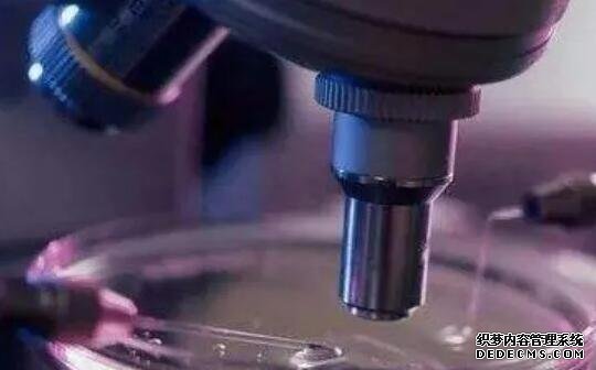 卵巢破裂对女性健康危害大，有可能会出现无法生育的情况