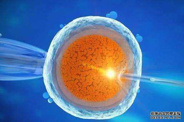 珠海妇幼医院附近哪里有试管之家 2022珠海试管费用纳入医保了吗？ ‘孕囊23mm×25mmⅹ8mm是男宝或女宝’