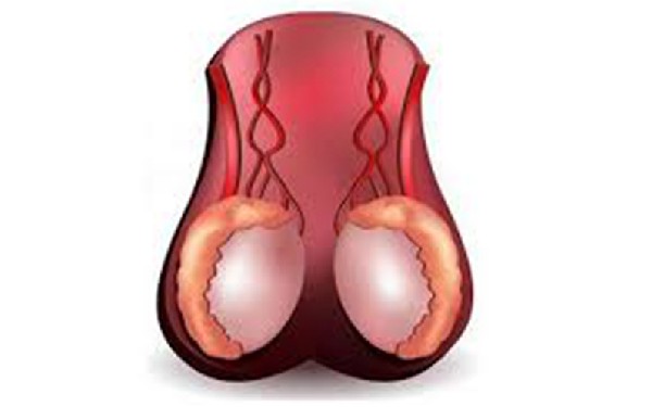 南宁 第三代 试管 2023年南宁其他能做试管助孕的医院 ‘营口伊人26周四维看男女准么’
