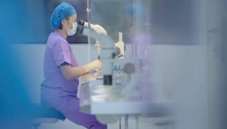 海南供卵试管 海南试管婴儿成功率如何? ‘怀孕7个月四维彩超看男女’