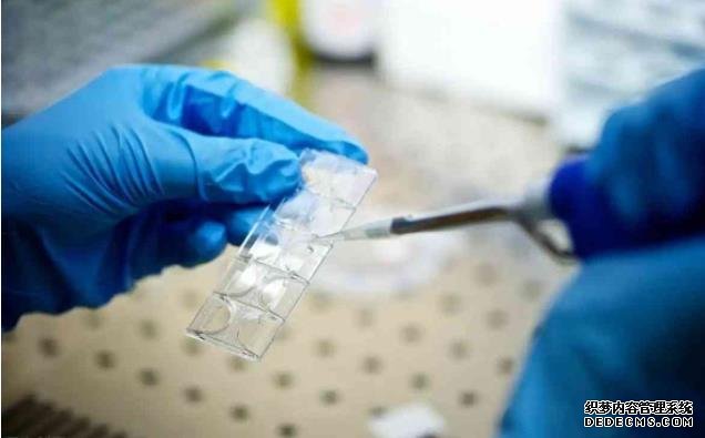 广州供卵试管费用大概多少 广州三代试管私人医院靠谱吗？ ‘nt能看男女’