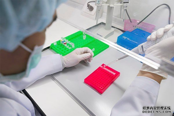 福州今年代孕价格 福州供卵试管费用明细 ‘怎样看b超单是男是女’