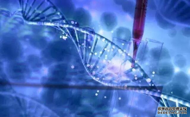 上海哪个供卵医院 2022上海试管婴儿费用明细: ‘nt怎么看男女’