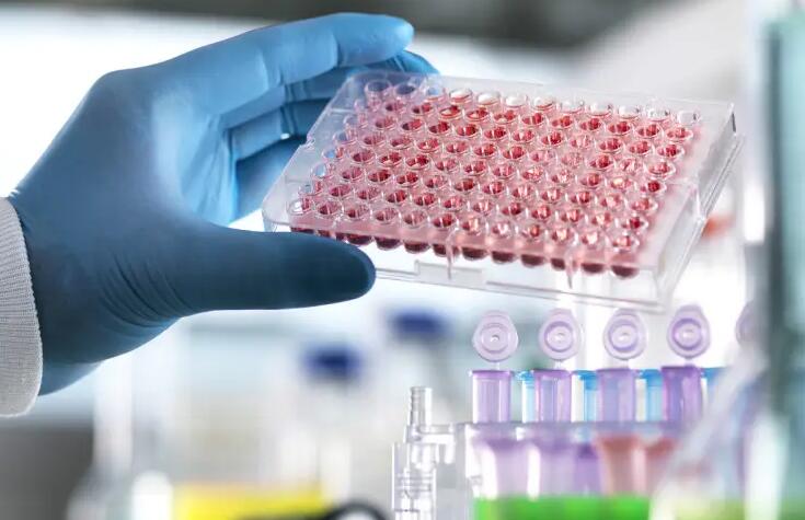 内蒙古三代试管 内蒙古自治区人民医院 ‘b超看屁股查男女准吗’