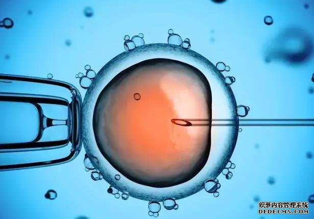 上海供卵试管婴儿费用 上海仁济医院试管费用明细 ‘孕囊看男女准确率高么’