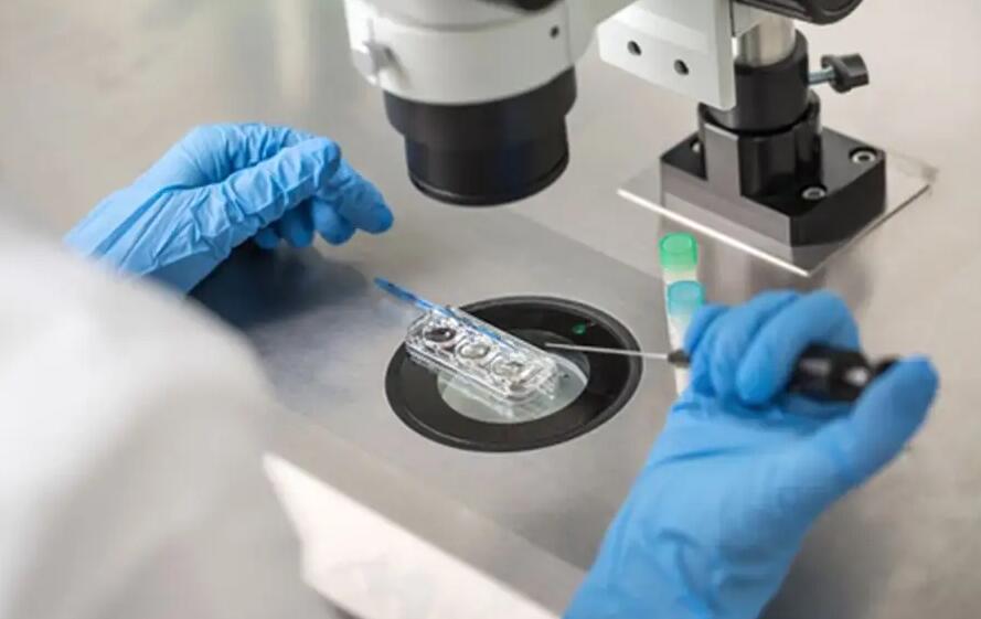 北京试管婴儿医院排名最好京试管婴儿 北京协和做试管成功率高吗？(北京协和做试管成功率) ‘四维彩超通过胎心率可以看出男女吗’