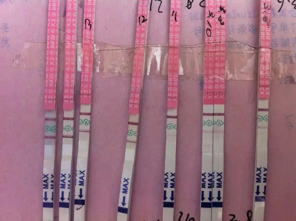 做石家庄第三代试管婴儿多少钱？整个流程是怎样？