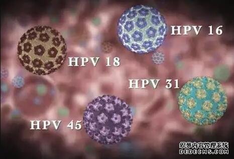 惠州园洲哪里有私人医院B超看男女 广东惠州试管医院排名：为什么越来越多人关注排名？ ‘b超腿短是男孩多还是女孩多’