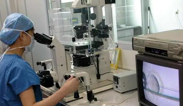 郴州供卵试管 郴州市第一人民医院试管费用和成功率预估，分享2023湖南网友助孕经验 ‘四维彩超头围222mm是男是女’