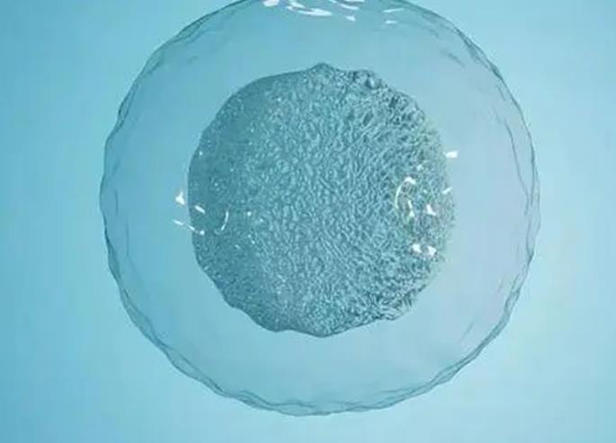 南昌有偿捐卵价格表 南昌哪家医院有第三代试管婴儿? ‘早孕40多天，通过看孕囊3个数据，可以知道男孩女孩吗？’