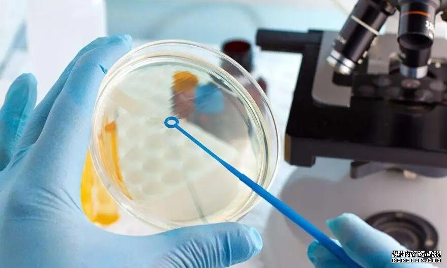 武汉哪做代孕好 汉供卵4大试管婴儿机构介绍 ‘孕期征兆暗示你生女孩男孩’