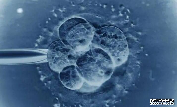 苏州♧◊qq 苏州第三代试管婴儿成功率如何? ‘nt值1.1有生男孩的吗’