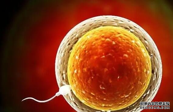 产后42天宫颈口有异物别着急，一文带你揭秘产后宫颈口有异物的原因