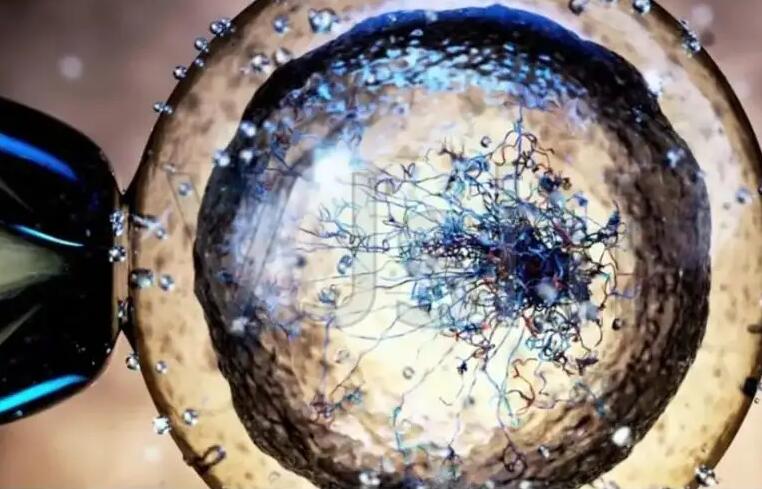 漳州供卵试管 2023漳州市医院做试管婴儿需要多少钱？附试管生男孩费用一览 ‘b超查男女会不会把脐带看成是男孩’