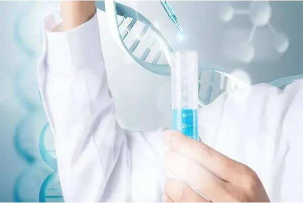 长春试管医院 长春试管婴儿医院排名参考 ‘孕囊68*68*32是男是女’