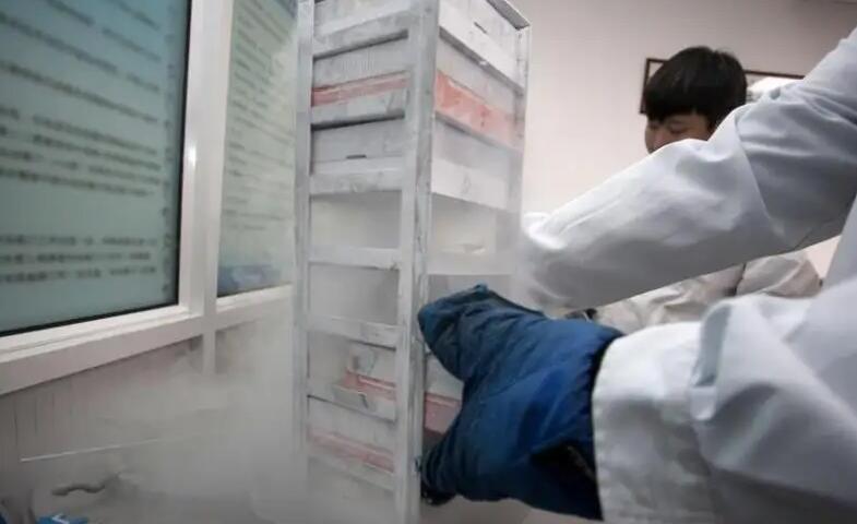 上海怎么供卵试管 2022上海同济医院试管婴儿费用明细 ‘孕10周b超可以看男女吗’