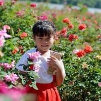 河南试管补贴 河南供卵试管医院及费用： ‘13周双顶径21mm是男女’