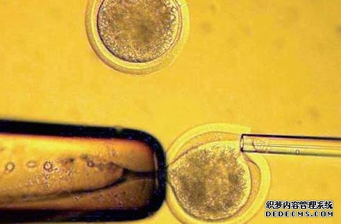 [固原试管婴儿]关于美国试管婴儿的流程，都在这里。-美国试管婴儿的流程