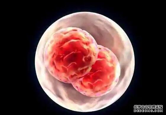 成都代怀生双胞胎医院 成都一幼儿园给孩子吃全素食详情 ‘代孕做b超多盖一处房确定是男孩吗’