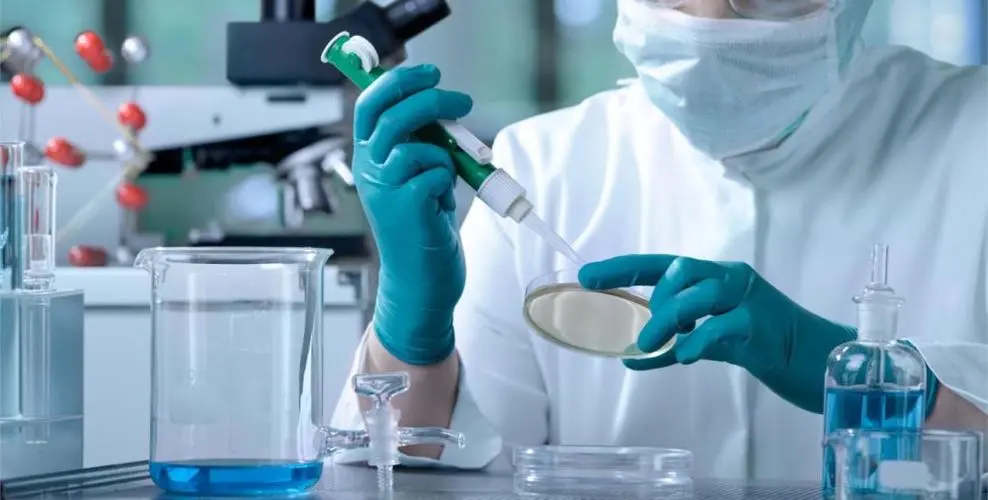 合肥试管供卵 合肥901医院供精试管姐妹经历 ‘6个月b超脊柱旁边有个尖尖是男宝生殖器么’