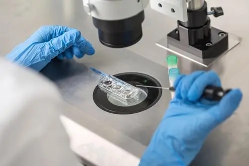 南京做供卵试管 南京试管助孕为什么失败?原因就是这些 ‘男宝宝女宝宝孕囊对比’