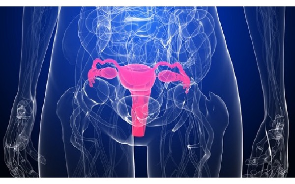 广州三代试管 广州妇幼医疗中心 ‘b超显示三道杠是男孩女孩’