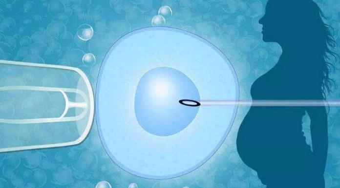 上海市试管婴儿医院哪家最好 上海长海医院可以做供卵试管包生男孩吗 ‘脉象测男女特征’