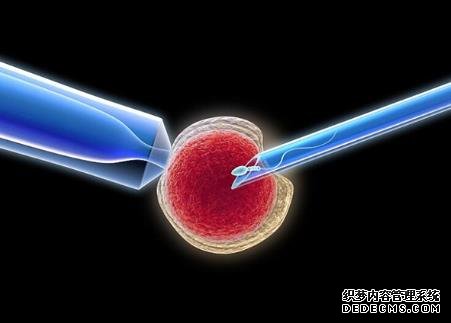 2023茂名供卵试管医院排名前十最新公布！附供卵包男孩费用参考