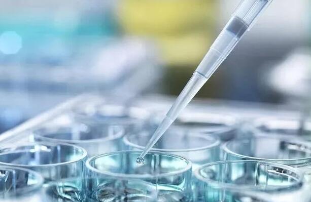 天津供卵试管 天津三代试管包生男孩价格多少？生男孩费用明细？ ‘孕囊68*68*32是男是女’