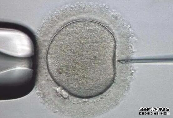 少精！弱精！死精！“爸”业难成，原来是这些原因-马来西亚精子分离术医院