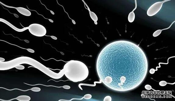 上海九院试管成功率排名第几 在上海九院做试管如何提高成功率? ‘孕10周b超可以看男女吗’