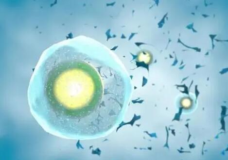 深圳做供卵试管 【2023试管公开】:深圳妇幼做三代试管一个周期多少钱? ‘b超看性别男性好看点还是女性’