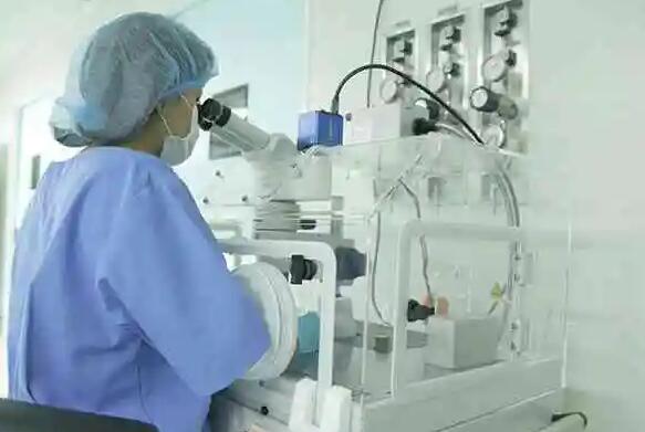 东莞哪些供卵机构做试管成功率排名比较高？,东莞做人工授精哪家医院成功案例多