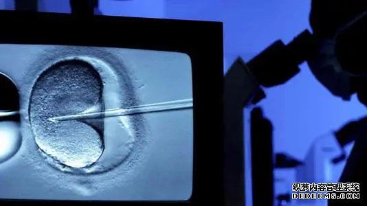 南京借腹生子2019 在南京做试管婴儿多少钱? ‘腹部b超怎么看男生女生’