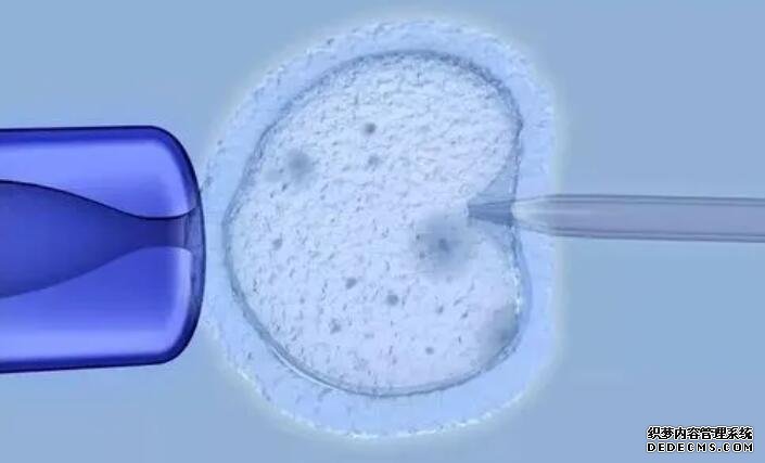 洛阳市中心医院试管费用 洛阳市中心医院生殖科供精试管婴儿成功率怎么样？ ‘代孕八个月男女很明显有这个症状’