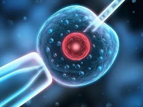 广州 三代试管 广州试管婴儿的价格 ‘孕囊1.41.80.8男孩还是女孩’