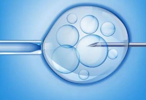 浙江试管医院 2023浙江省试管医院成功率排行榜，附生殖医院选择经验分享 ‘b超单哪里能看出是男是女’