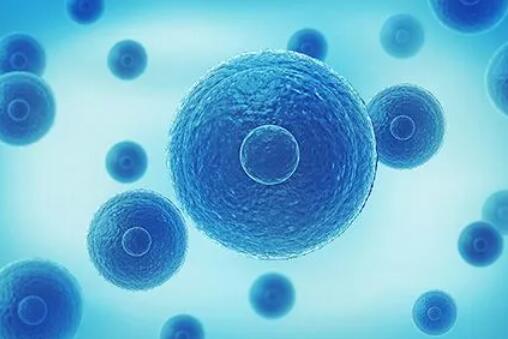 甘肃省试管婴儿医院成功率、费用详细对比,甘肃试管婴儿医院